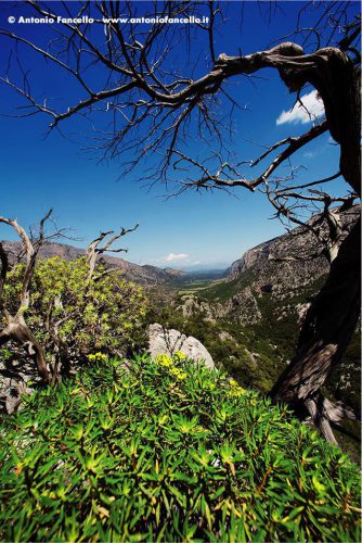 Dorgali - Valle di Lanaitto