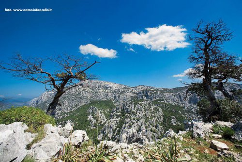 Dorgali - Monte Tiscali