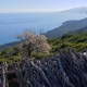 B&B da Zietto - Dorgali Sardegna